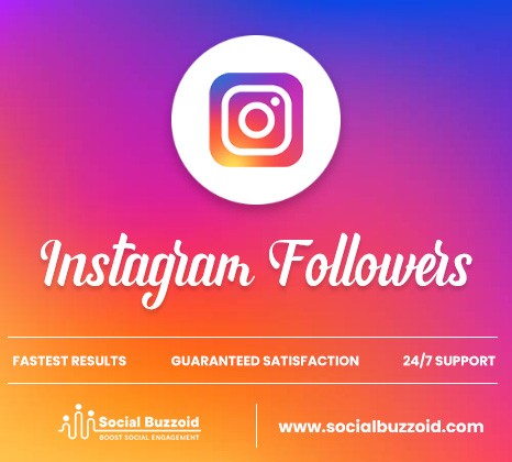 Buy Instagram Followers from SocialBuzzoid.com