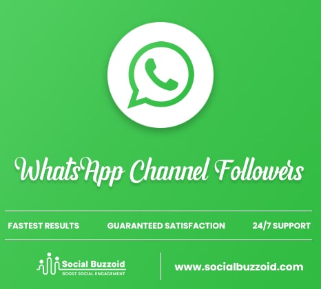 Unleashing the Power of WhatsApp Business Promotion: Buy WhatsApp Channel Followers from SocialBuzzoid